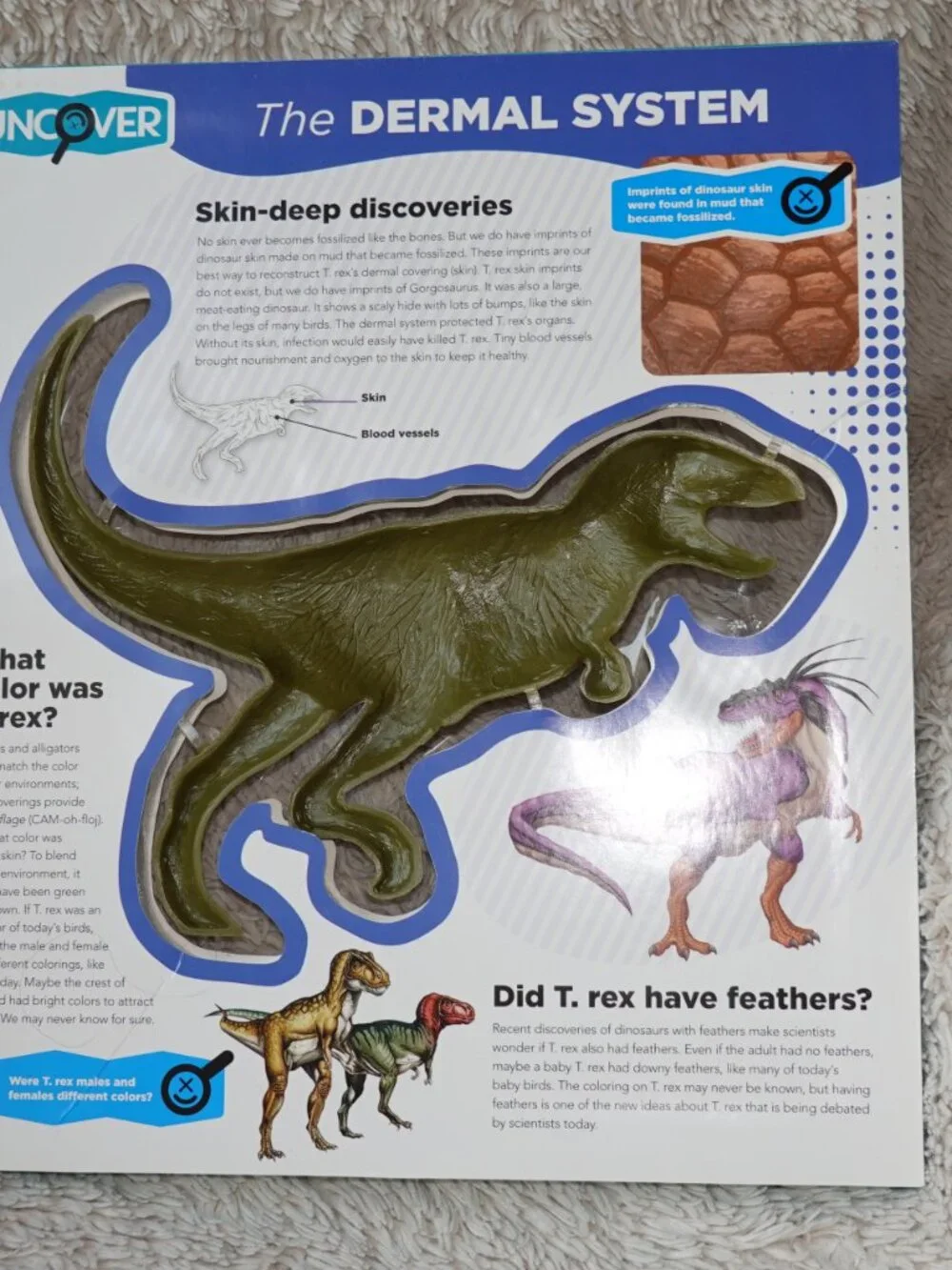 Uncover a T.Rex Hardcover 3D Book and Model